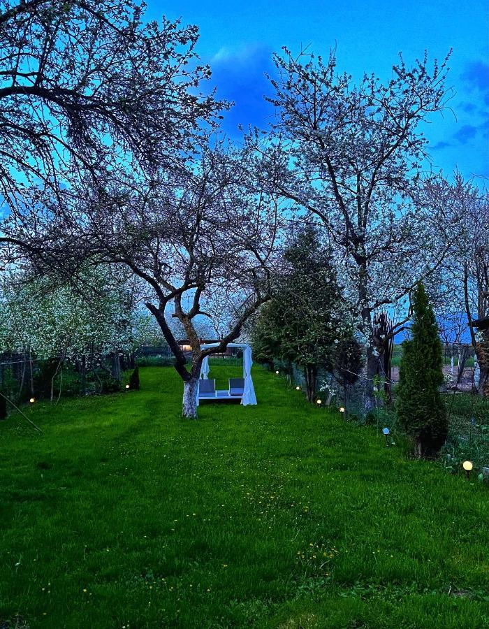Casa Leny Hotel Újtohán Kültér fotó
