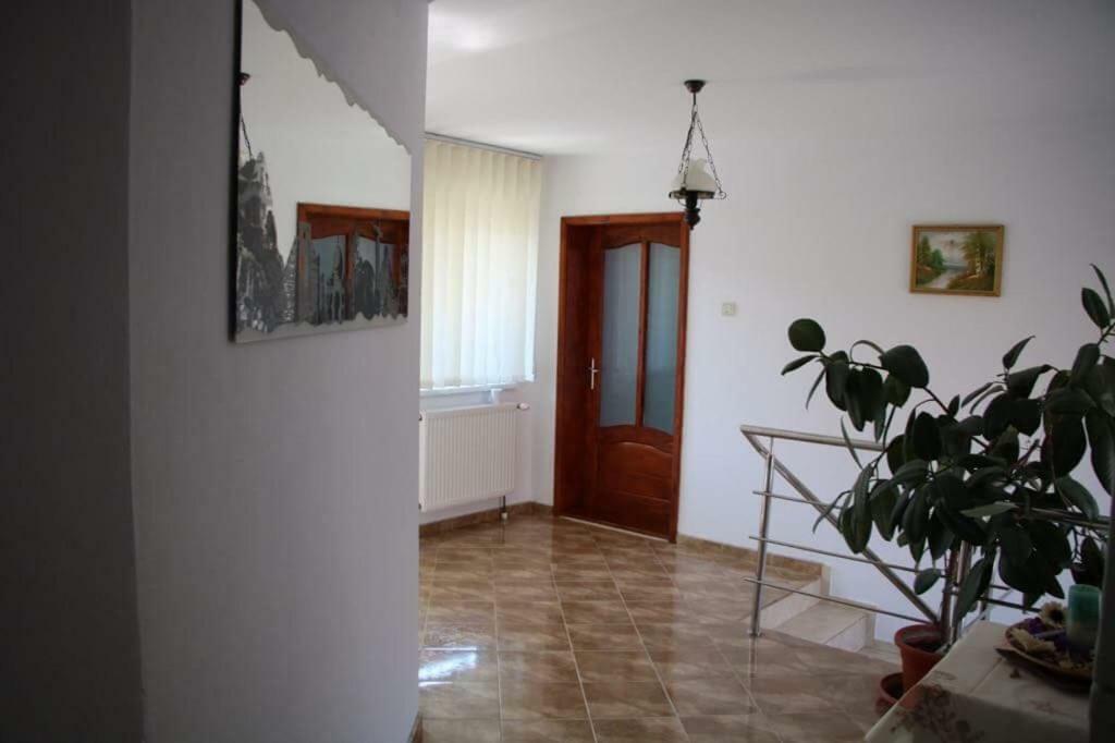 Casa Leny Hotel Újtohán Kültér fotó