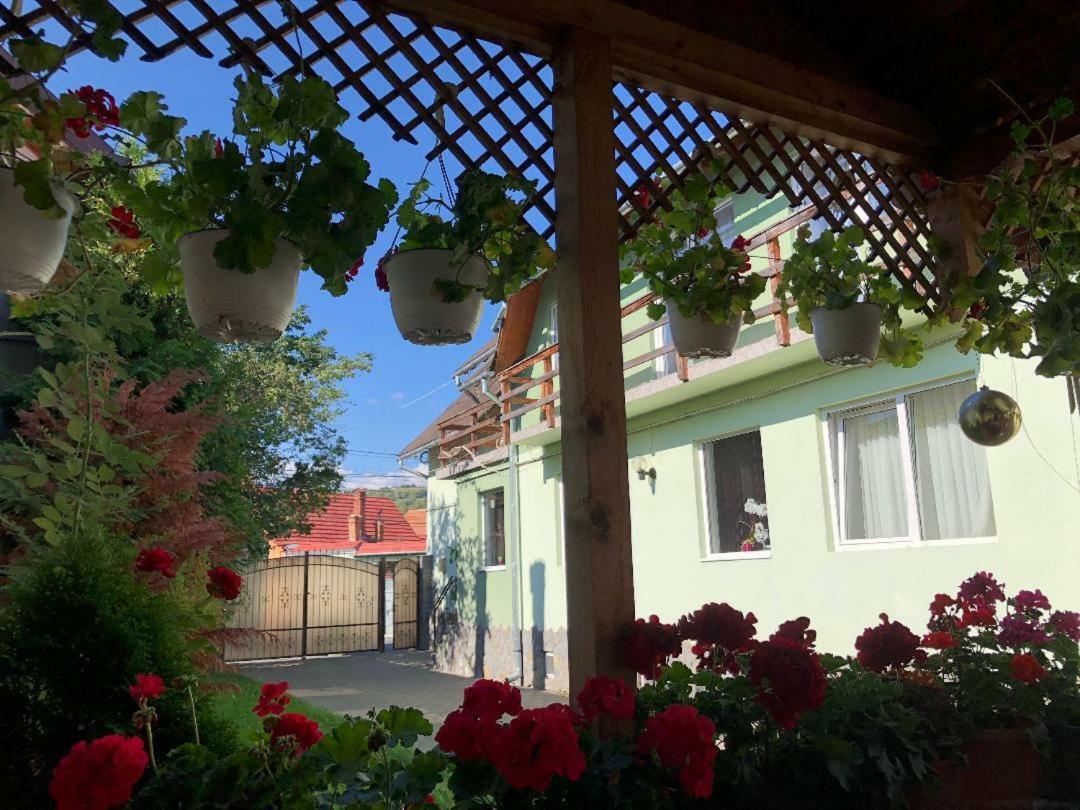 Casa Leny Hotel Újtohán Kültér fotó